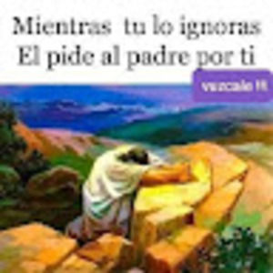 Meet your Posher, Norma